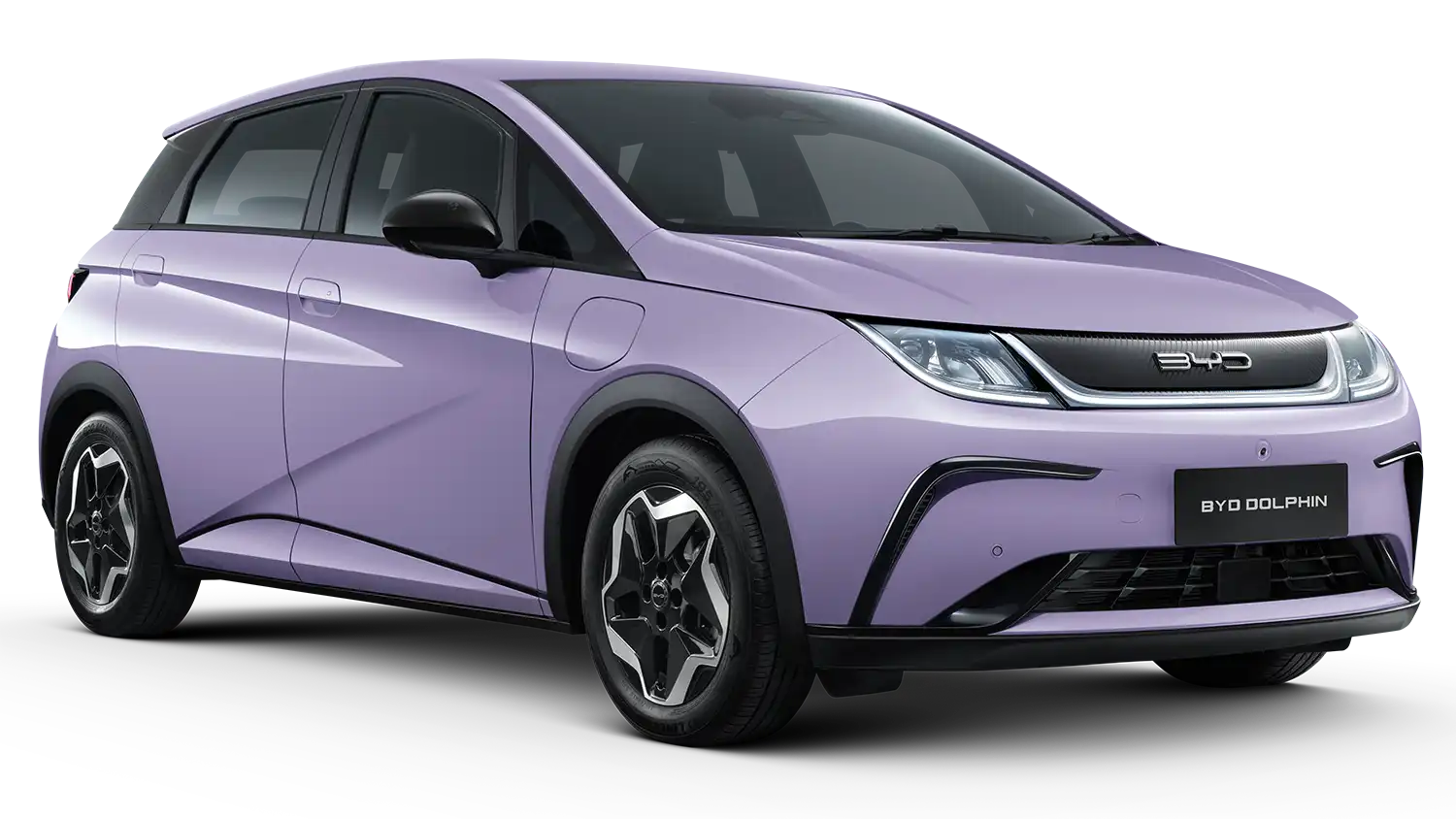 1 Flora Purple Standard