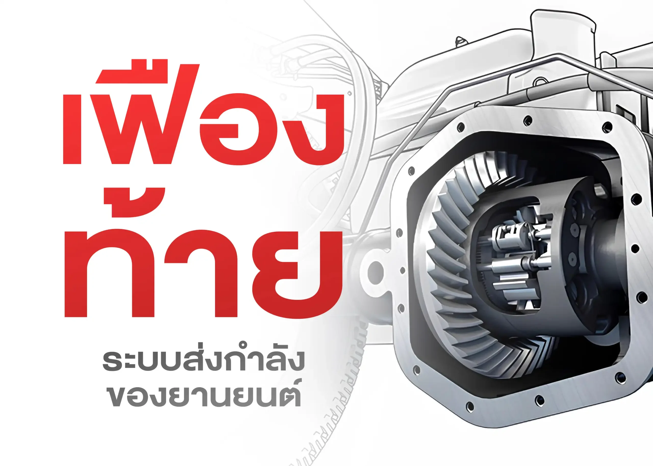 เฟืองท้ายคืออะไร? หน้าที่ การทำงาน และการดูแลรักษา 1 BYD BD Auto Group