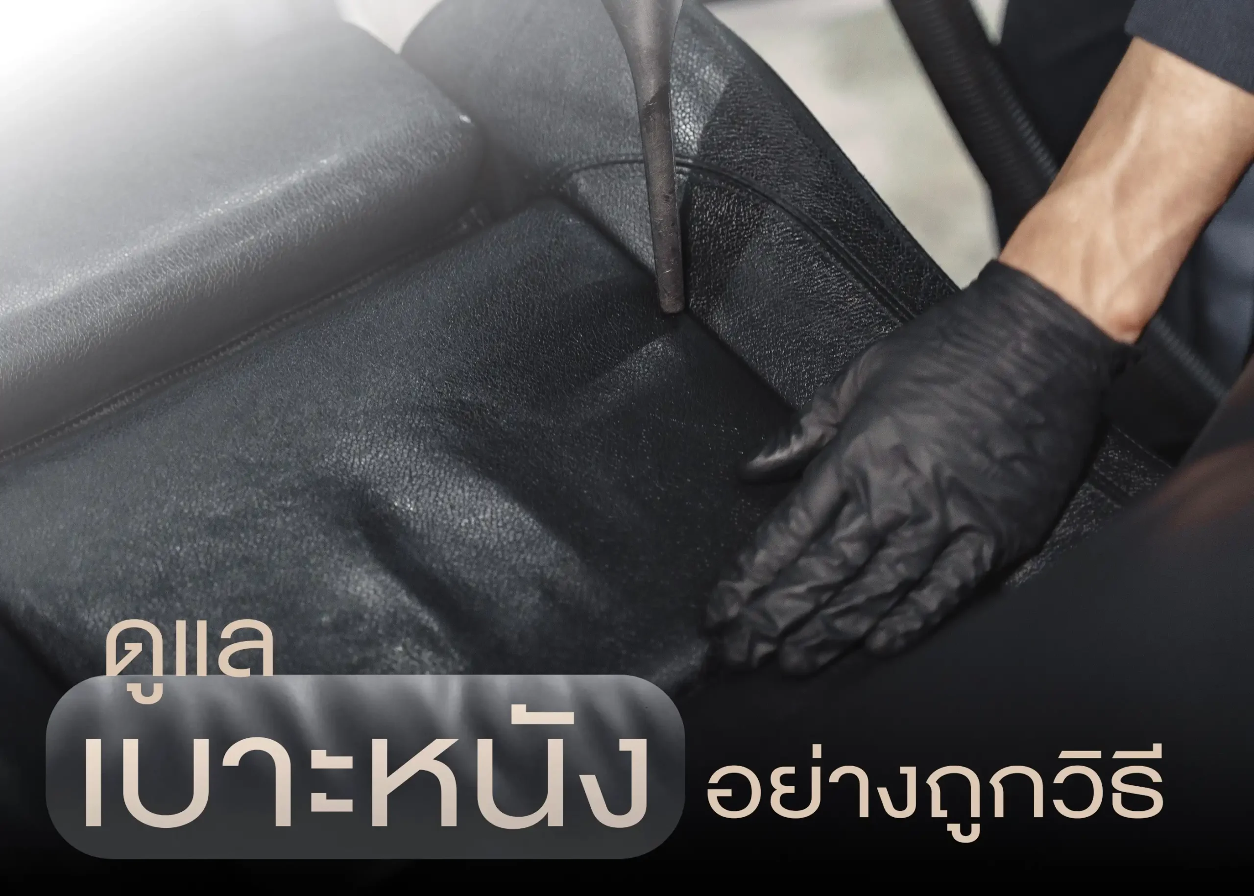 วิธีการทำความสะอาดเบาะหนังรถยนต์อย่างถูกวิธี 1 BYD BD Auto Group