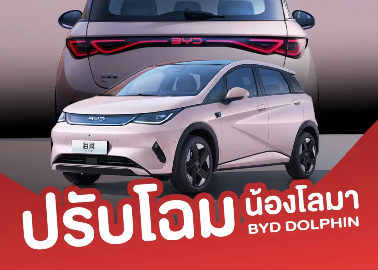 cover BYD Dolphin Minorchange