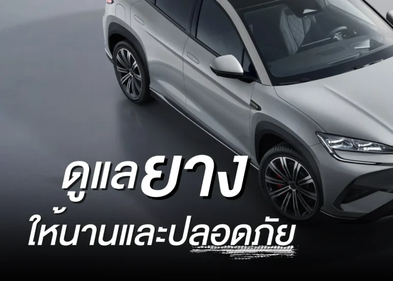 tire care-cover